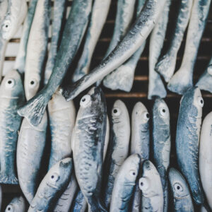 Sardina